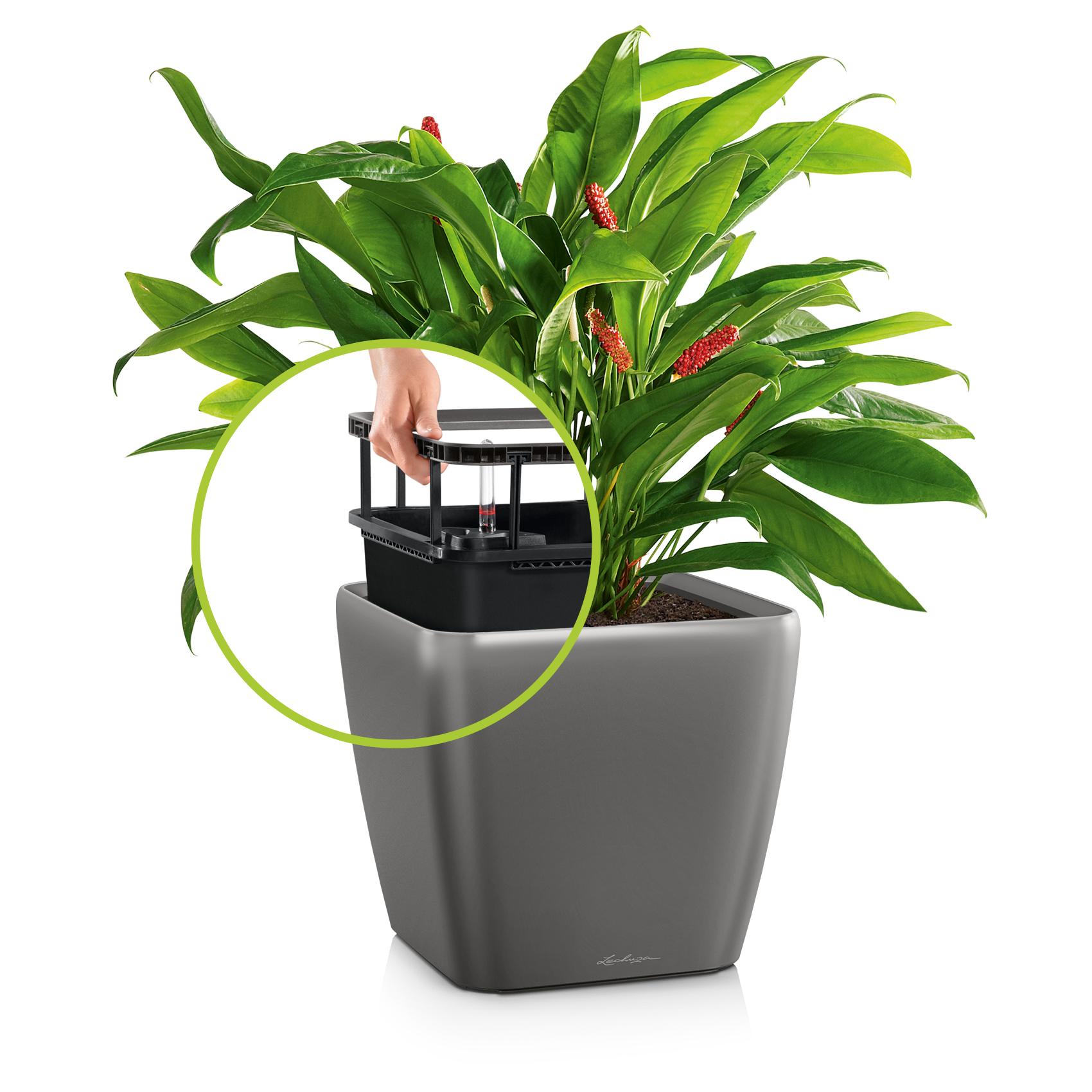 QUADRO LS 21 charcoal metallic